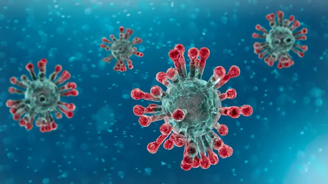 Covid-19 virus 3d diagram