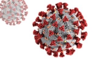Coronavirus (Covid-19) 3d image