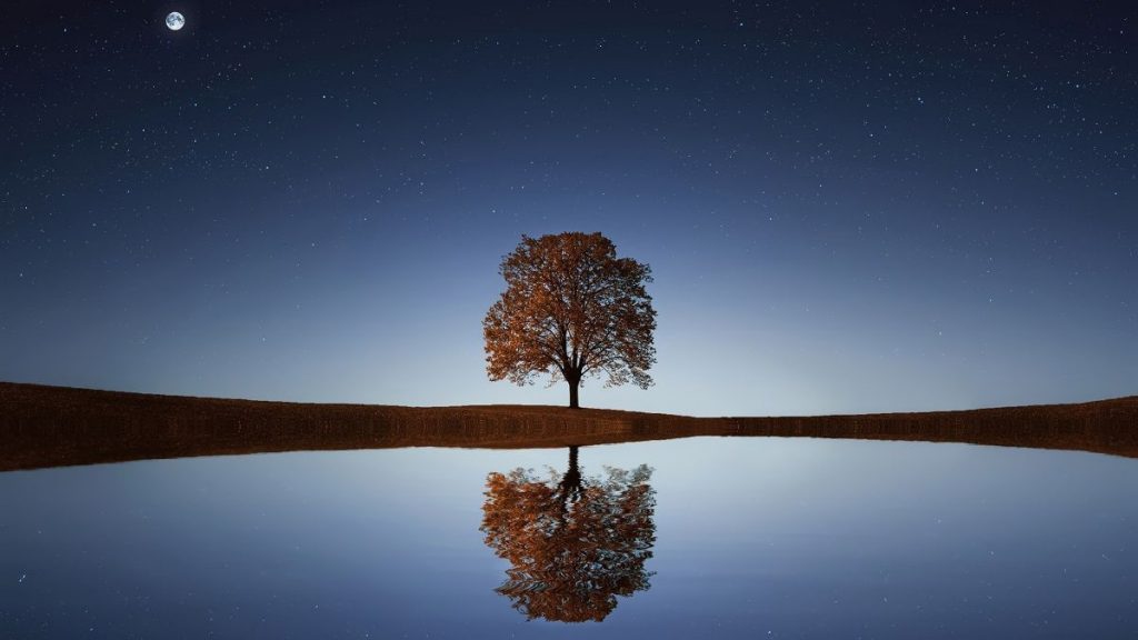 night sky photo of water with tree reflection