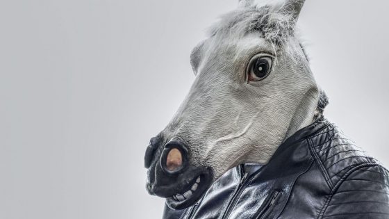 horse face with leather jacket digital drawing